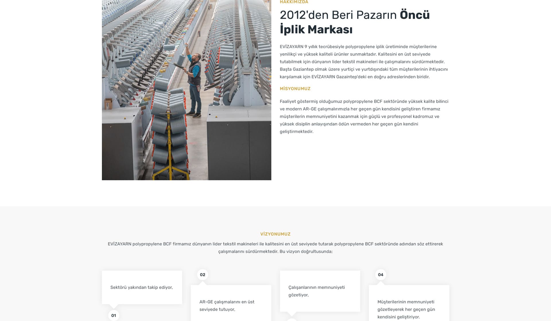Eviza Yarn / Kurumsal Web Sitesi