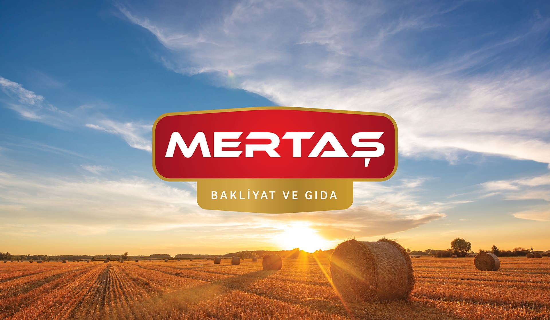 Mertaş Gıda / Logo Tasarımı