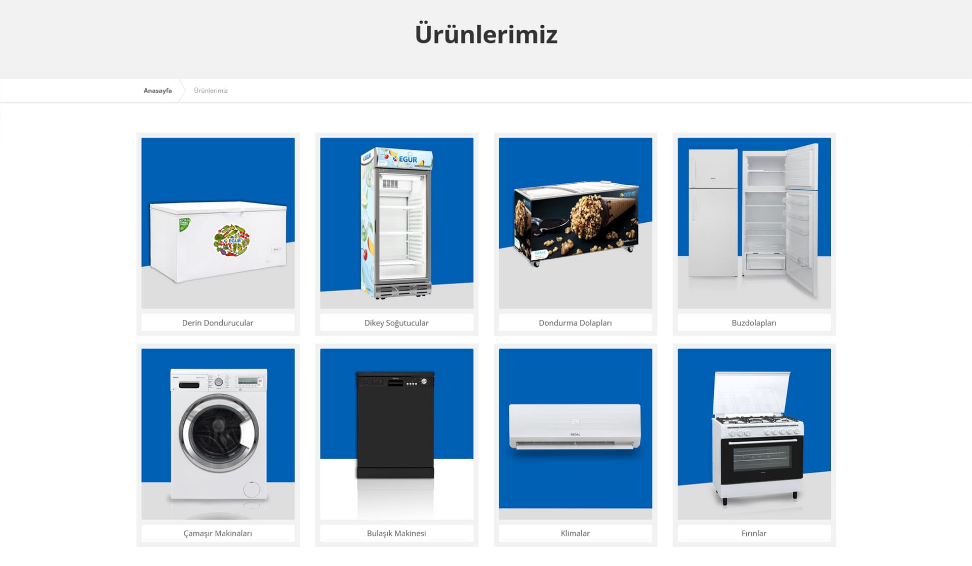 Tanin Dış Ticaret / Kurumsal Web Sitesi