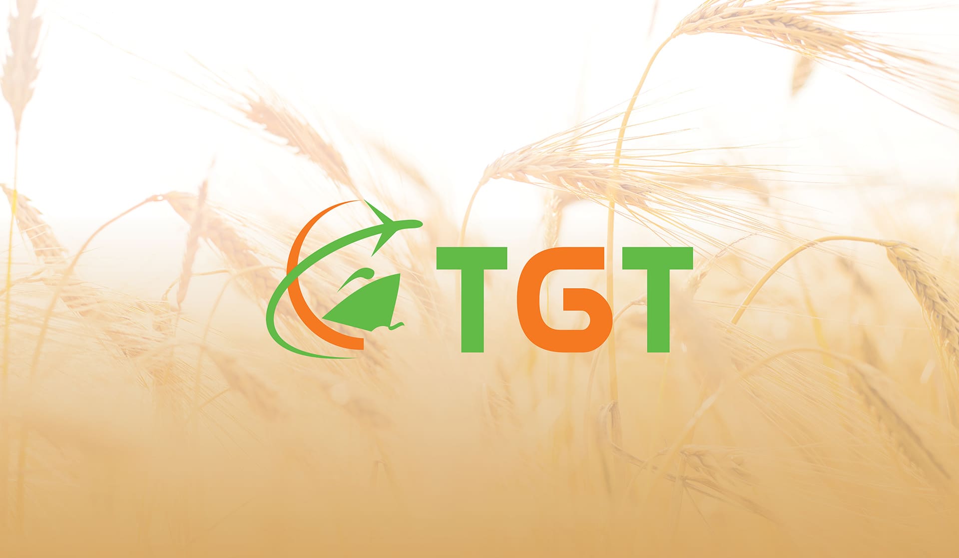 TGT Gıda / Logo Tasarımı